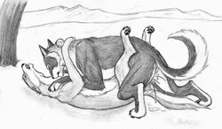 bagheera_(artist) canine cum cum_inside female feral knot male missionary_position open_mouth paws penetration raised_tail sketch straight tail winter wolf