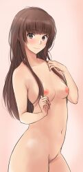 absurdres amagami bangs blunt_bangs breasts brown_background brown_eyes brown_hair cowboy_shot female highres kamizaki_risa long_hair looking_at_viewer nude pubic_hair simple_background small_breasts solo standing yoo_tenchi