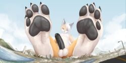 balls black_pawpads foot_focus fox furry humanoid_penis logan_grey macro orange_fur paws penis solo solo_male solutionwcs white_fur