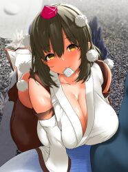 1girls akure_ekuto big_breasts shameimaru_aya tagme touhou