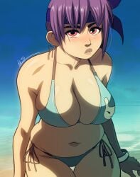 1girls ayane_(doa) beach big_breasts bikini blue_sky breasts day dead_or_alive headband huge_breasts looking_at_viewer pink_eyes purple_hair seaside thick triplexmile voluptuous