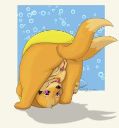 absurd_res alex.fetter female feral floatzel fur generation_4_pokemon genitals hi_res holly_(alex.fetter) orange_body orange_fur patreon pokemon pokemon_(species) presenting purple_eyes pussy