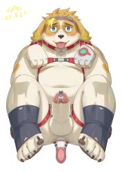 <3_eyes absurd_res anal anthro balls begging begging_pose belly blonde_hair blush bodily_fluids buttplug cai1448331577 canid canine canis collar collar_tag cum domestic_dog erection genital_fluids genitals hair harness heart hi_res hisaki_(live-a-hero) lifewonders live-a-hero male male_penetrated mammal navel overweight penetration penis plug_(sex_toy) pose sex_toy simple_background tongue tongue_out urethral urethral_penetration video_games white_background