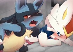 anthro blush bodily_fluids cinderace duo generation_4_pokemon generation_8_pokemon lagomorph lucario male male/male mammal nintendo open_mouth pokemon pokemon_(species) sex stuck tears through_wall tongue tongue_out video_games yousan