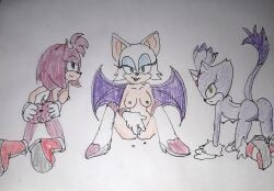 amy_rose ass blaze_the_cat dripping_cum jakee naughty_face opening_pussy posing pussy rouge_the_bat showing_ass sonic_(series) sonic_the_hedgehog_(series) spreading_ass spreading_pussy