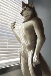 absurd_res animal_genitalia anthro balls canid canine canis djano fully_sheathed fur genitals hi_res male mammal multi_nipple navel nipples nude penis sheath smile solo window window_light wolf