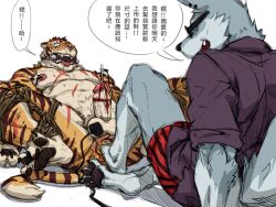 2015 anal anal_sex anthro anthro_on_anthro balls bit_gag bodily_fluids bondage bound canid canine canis chinese_text clothed clothed/nude clothed_male_nude_male clothing cock_and_ball_torture crying dialogue dominant dominant_male drooling duo electrostimulation erection eye_scar eyewear facial_scar felid foot_fetish gag genitals hindpaw jacketbear male male/male mammal muscular navel nipple_clamp nipples nude pantherine paws penetration penis restraints rope rope_bondage saliva scar scared simple_background snot speech_bubble submissive submissive_male tears text tiger translated urethral urethral_insertion white_background wolf