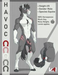 2021 absurd_res animal_genitalia animal_penis anthro artist_logo artist_name athletic athletic_anthro athletic_male black_hair black_hooves black_penis black_tail dated english_text equid equine equine_penis facial_scar front_view genitals gloves_(marking) grey_body grey_ears hair half-erect havoc_(havoc_wolf) hi_res hooves horse leg_markings leg_scar logo male male_only mammal markings messy_hair model_sheet penis pink_penis red_eyes scar short_hair shoulder_scar socks_(marking) solo text vinyanko white_body white_inner_ear