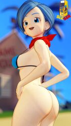 bulma briefs from dragon ball by sixser