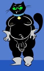 2022 alteranatomist anthro anthrofied balls belly big_belly biped black_balls black_body black_fur black_penis black_tail blue_background blue_collar bodily_fluids clothing collar dark_nipples digital_media_(artwork) domestic_cat drooling felid feline felis flaccid footwear front_view full-length_portrait fur genitals gloves green_sclera grey_clothing grey_footwear grey_gloves grey_handwear grey_nipples grey_shoes handwear hi_res humanoid_genitalia humanoid_penis male mammal monkey_wrench_(series) moobs mostly_nude nipples overweight overweight_anthro overweight_male penis portrait saliva scratch_(monkey_wrench) shoes simple_background solo standing vein veiny_penis whiskers