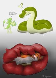 4_ears absurd_res anthro avali belly bodily_fluids canid canine digital_media_(artwork) english_text feathers fox fur group hi_res internal keym keymzx male mammal multi_ear oral_vore reptile scalie simple_background size_difference snake soft_vore stomach_bulge text vore wings