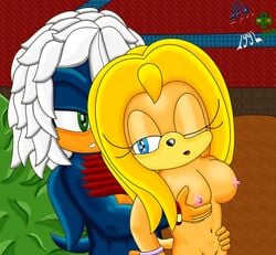 2010 anthro bigdon1992 don echidna female fur furry hedgehog jessica lightning mammal monotreme night original_character room sega sex sonic_(series) sonic_the_hedgehog_(series) year