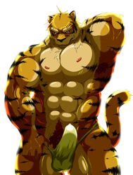 1boy abs anthro armpits banana_hammock barazoku beastlover1100 erection feline fur furry male male_only muscles nipples penis pinup pose pubic_hair solo speedo tail thong tiger underwear