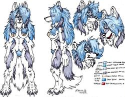 anthro big_breasts breasts canine digitigrade female fenrir_lunaris fur furry lassie lassie_lunaris model_sheet nipples pubic_hair solo standing tongue wolf