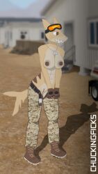 9:16 abs anthro areola belt biped boots bottomwear breasts brown_eyes camo chuckingficks_(artist) clothed clothing desert dog_tags eyewear eyewear_on_head female female_anthro fingerless_gloves fish footwear genitals gills gloves goggles goggles_on_head hands_together handwear hi_res humanoid_genitalia humanoid_pussy marine military military_uniform nipples open_belt open_bottomwear open_clothing open_pants pants plantigrade pussy shaded shark shark_tail sharp_teeth shoes slim solo standing stripes tan_body teeth topless topless_anthro topless_female uniform united_states_marine_corps