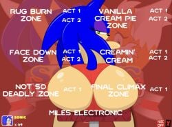 big_ass ctrl-z rule_63 sonic_(series) sonic_the_hedgehog sonic_transformed_2