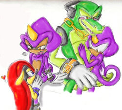 blush chameleon chaotix crocodile espio_the_chameleon fur male male_only mighty_the_armadillo mobian multiple_males open_mouth oral penis reptile riding scalie sega sex sonic_(series) vector_the_crocodile yaoi