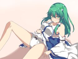 sanae kochiya from touhou by velox s