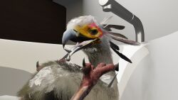 accipitriform avian bird bodily_fluids cum feral genital_fluids hi_res secretary_bird solo