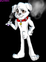 3:4 animal_genitalia brian_griffin canid canine canis collar domestic_dog family_guy fur genitals male mammal nightzombie red_collar sheath smoke smoking solo solo_male vape vape_pen white_body white_fur