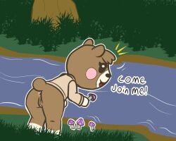 animal_crossing anthro anus bent_over female forest forest_background fungus genitals looking_back mammal maple_(animal_crossing) mushroom nature nature_background nintendo plant pussy solo tree ursid video_games weirdkoaladream