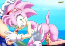 amy_rose bbmbbf eulipotyphlan furry handjob hedgehog looking_at_viewer mammal mobius_unleashed orgy palcomix reverse_cowgirl_position rosy_the_rascal_(archie) sonic_(series) sonic_the_hedgehog_(archie) sonic_the_hedgehog_(comics) sonic_the_hedgehog_(series)