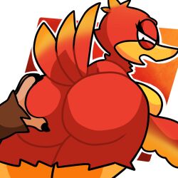 kazooie from banjo-kazooie by lewdewott
