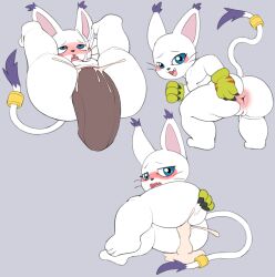 ass bandai_namco bodily_fluids cum digimon digimon_(species) fyoshi gatomon genital_fluids genitals hi_res penis pussy spreading