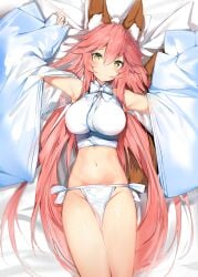 fate/extra fate/grand_order fate_(series) silver_(chenwen) tagme tamamo_no_mae_(fate)