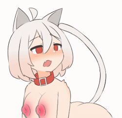 hellcat (daebom) from war thunder by daebom