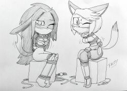 2girls anthro bondage bound commission damsel_in_distress duo fan_character female female_only frefer9 furry furry_only gagged jack22gt one_eye_closed original_character restrained sonic_(series) sonic_oc traditional_media_(artwork)