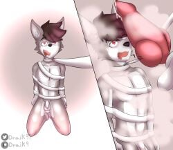 absurd_res anthro arms_tied balls bodily_fluids bondage bound canid canine canis draik duo eeveelution erection first_person_view fur generation_6_pokemon genital_fluids genitals grey_body grey_fur hair hi_res knot leash leashed_pov looking_at_viewer male male/male male_only mammal nintendo nude penis pokemon pokemon_(species) simple_background submissive sylveon video_games wolf