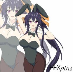 akeno himejima from high school dxd by hfxpins