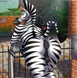 absurd_res anthro anus ass balls derickk76 dreamworks equid equine genitals hi_res looking_back madagascar_(series) male mammal marty_the_zebra nude puffy_anus solo zebra