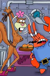 1boy 1girls anthro bondage breasts crab crustacean derp drawn-sex.com female kitchen krabby_patty male mammal mr_krabs nickelodeon nipples nude rodent sandy_cheeks sea spongebob_squarepants squirrel straight_hair yaoinami