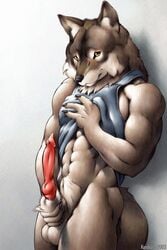 1boy anthro balls canine erection fur furry karabiner male male_only penis solo wolf