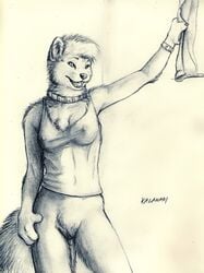 anthro black_and_white bottomless canine collar female fox fur furry kalahari monochrome pussy sketch skimpy solo standing tank_top