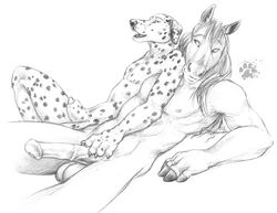 2008 balls blotch canine canine_penis dalmatian equine fingerhooves furry gay horse horsecock male no_humans penis size_difference