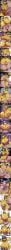 1boy 1girls absurd_res alternate_body_type amazon_position and animal_crossing animal_ears animal_humanoid ankha ankha_(animal_crossing) anthro anthro_female anthro_focus anthro_on_human anthro_penetrated areola areolae ass athletic athletic_female balls bangs big_ass big_balls big_breasts big_butt big_cock big_penis big_testicles big_thighs biped birth blue-eyed_female blue_fur blue_hair bodily_fluids breastfeeding breasts breasts_out breedable_hips cat_ears cat_girl cat_tail catgirl censor_bar censored censored_genitalia cervical_contact cervical_penetration cervix cervix_kiss clothed clothed/nude clothing cock colored completely_nude completely_nude_male cowgirl_position creampie crossed_legs crotchless_clothing crotchless_swimwear cum cum_in_pussy cum_in_uterus cum_in_vagina cum_inside curvaceous curvaceous_female curvaceous_figure curvy curvy_body curvy_female curvy_figure curvy_hips detailed dialogue dick dildo dildo_in_pussy domestic_cat dominant dominant_female duo expressionless eyelashes fat_ass felid feline felis female female_anthro female_focus female_on_human female_on_top female_penetrated femdom first_person_view fit fit_female fondling fondling_balls foreskin foreskin_folds from_front_position front_view frown fully_retracted_foreskin furry furry_female genital_fluids genitals geulimykun_(skbyunea413) gigantic_breasts giving_birth grabbing_legs gulp gulping hair hand_on_penis heart_symbol hi_res higher_resolution_available huge_ass huge_balls huge_breasts huge_butt huge_cock huge_penis huge_testicles huge_thighs human human_male human_male_on_anthro_female human_on_anthro human_penetrating human_penetrating_anthro human_penetrating_female human_pov impregnation impregnation_request interspecies interspecies_creampie interspecies_impregnation kiss_mark kiss_mark_on_penis kissing kissing_penis kissing_while_penetrated kitten lactating lactation lactation_without_expressing large_ass large_balls large_breasts large_butt large_cock large_penis large_testicles large_thighs larger_male leg_grab legs_together licking licking_penis light-skinned_male lipstick_mark lipstick_on_penis long_tongue looking_at_penis looking_at_viewer lying male male/female male_human male_on_anthro male_on_bottom male_penetrating male_penetrating_anthro male_penetrating_female male_pov malesub mammal markings navel nintendo nipple_fetish nipple_pinch nipple_play nipples nude on_back on_bottom on_top one-piece_swimsuit onomatopoeia open_mouth oral ovulation ovum ovum_deformation paizufella paizuri paizuri_fellatio penetrating_pov penetration penile penile_penetration penis penis_bigger_than_expected penis_in_pussy penis_in_vagina penis_kiss penis_kissing penis_on_face pinch plap power_bottom precum pregnant pregnant_belly pregnant_female pregnant_sex prostate_stimulation pupils pussy retracted_foreskin riding riding_penis rimming rimming_male rusty_trombone saliva sex shaded short_hair side_view sideboob size_difference skimpy sling_bikini smaller_female smegma sperm_cell spread_legs sticking_out_tongue stomach_bulge striped_markings striped_tail stripes sucking sucking_breasts sucking_nipples suckling sweat sweaty_breasts swimwear tail tail_markings testicles text thick thick_ass thick_butt thick_cock thick_hips thick_legs thick_penis thick_thighs thighs toned toned_female twins uncensored uncircumcised uncircumcised_penis uncut uraeus uterus vagina vaginal vaginal_insertion vaginal_penetration vaginal_sex veins veiny_penis voluptuous voluptuous_female vulva wide_hips womb womb_kiss womb_penetration x-ray x-ray_view yellow_body yellow_fur yellow_hair ykun