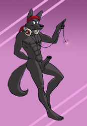 1boy anthro bandana black_nose black_penis canine corgi_(artist) erection fur furry green_eyes headphones headphones_around_neck hi_res looking_at_viewer lupine_assassin male male_only penis solo wolf