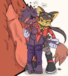 anthro breasts canid canine canis clothing domestic_cat fan_character felid feline felis female guntz hi_res internal klonoa_(series) knot knotting male male/female mammal pepamintop rough_(disambiguation) sex standing standing_sex video_games wolf