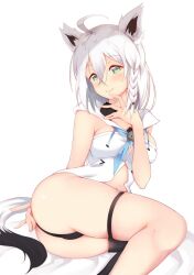 shirakami fubuki from hololive by paddy san