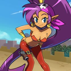 pirate shantae from shantae by artist request