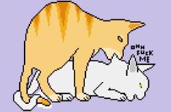 age_difference cat domestic_cat dovewing_(warriors) duo feline female feral lionblaze_(warriors) male male/female mammal older_male penetration warriors_(cats) young younger_female younger_penetrated zoophilia