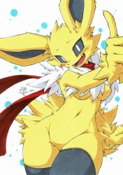 eeveelution from pokemon