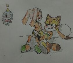 absurd_res blush cheese_the_chao cowgirl_position cream_the_rabbit flying fully_clothed jakee marine_the_raccoon naughty_face panties_aside riding_dildo romantic romantic_couple sega sex_toy smiling sonic_(series) sonic_the_hedgehog_(series) spread_legs strap-on strapon traditional_art traditional_media traditional_media_(artwork) watching yuri