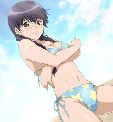 alternate_costume bikini black_hair blue_bikini blush braided_hair brown_eyes cleavage covering_self crossed_arms dutch_angle embarrassed female female_only genderswap_(mtf) gintama long_hair looking_at_viewer punchiki rule_63 shimura_shinpachi side-tie_bikini solo sweatdrop swimsuit twin_braids