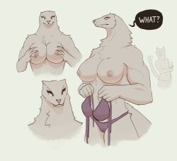 2021 anthro bra breast_squish breasts camel_toe capcom clothing digital_media_(artwork) domestic_cat duo fangs felid feline felis female fur hand_on_breast hi_res male mammal monster_hunter muscular muscular_anthro muscular_female nipples panties shaded solo solo_focus squish tenynn underwear video_games white_body white_fur wulg