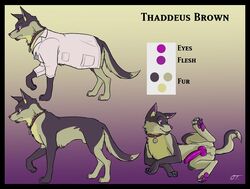 1boy balls canine collar compression_artifacts doctor erection feral gradient_background knot labcoat male male_only model_sheet penis purple_eyes purple_nose purple_penis sheath solo tail thaddeus_brown zombieme