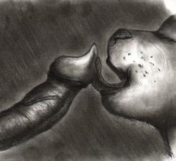 Ambiguous Gender Rule 34 Image